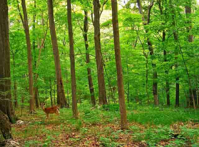 传销寻人的方法有哪些？