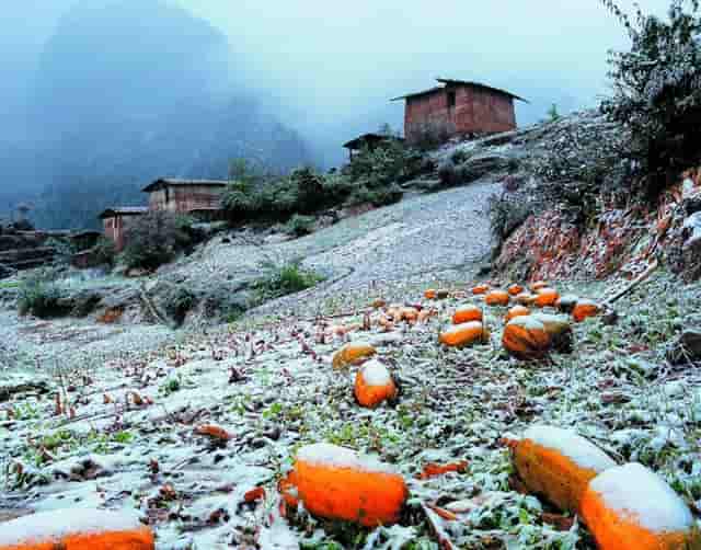 今明雷阵雨天气