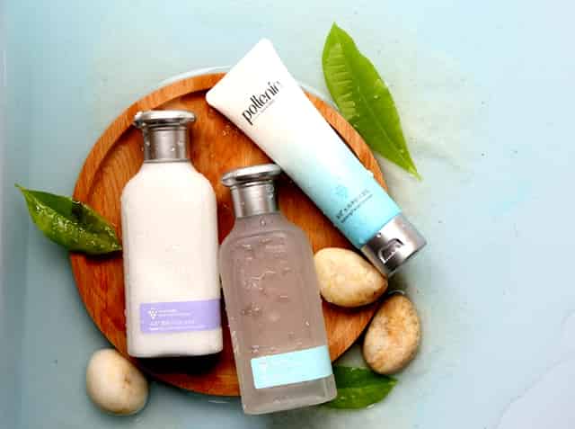 安保维稳工作督导内容