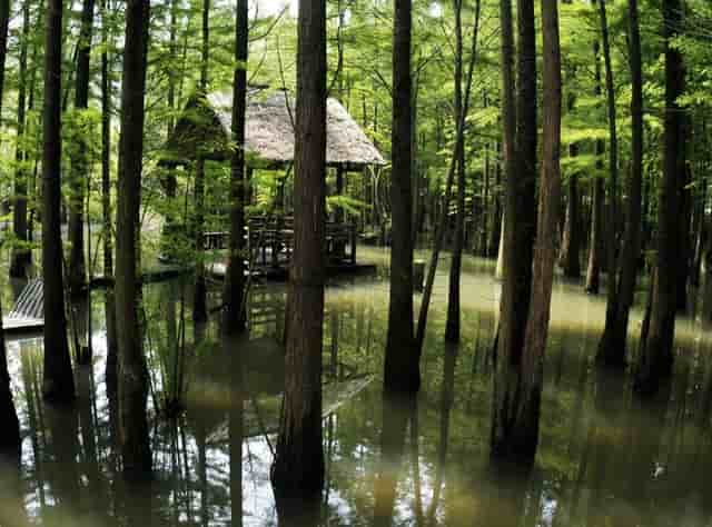 轻松创业，这个值得信赖的品牌你知道吗——袖虎！