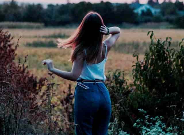 黛玉的歌曲演唱视频(张嘉译演唱的歌曲视频)