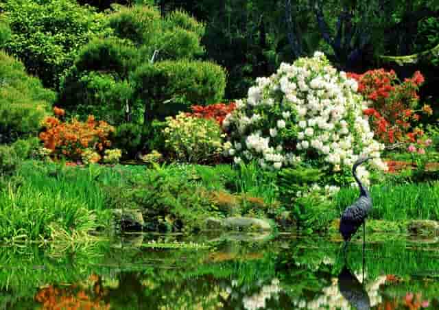 袖虎知识库：这个东西看似没用，实则少不了