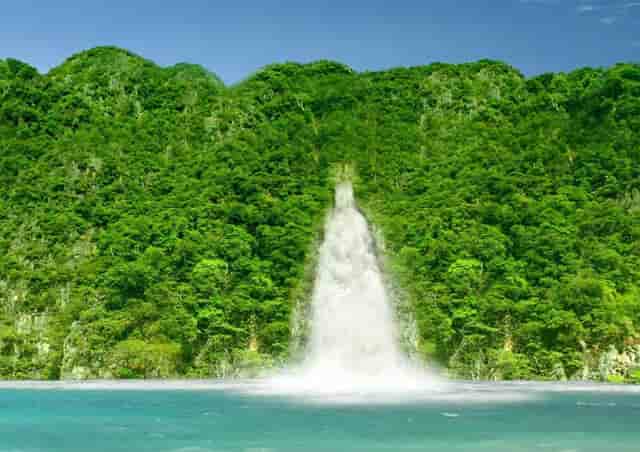 高血脂的人腿上会有哪些表现？医生辟谣：抽血化验更准确！