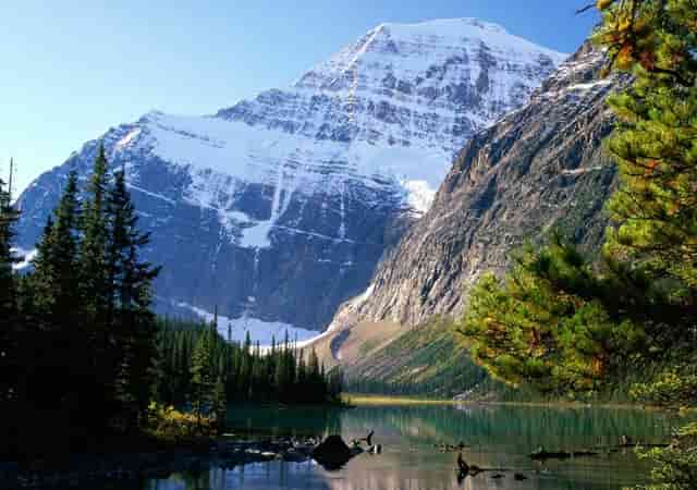 一天刮一次胡子和二天刮一次胡子，哪种更健康？很多男人并不清楚