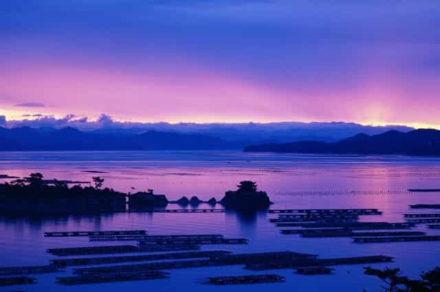 山东临沂一哥视频