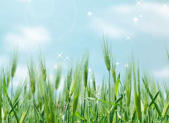 保险公司车险可以用吗