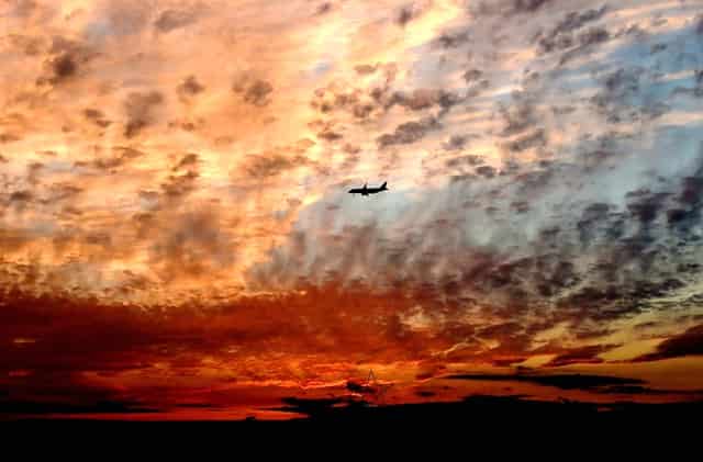 数藏圈的一匹黑马——火兔“FIRE BUNNY”