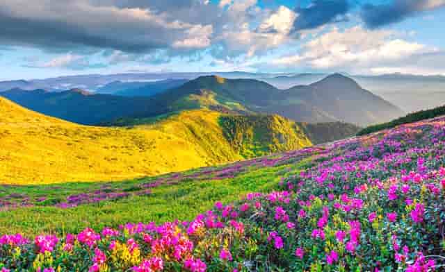 杨幂真适合穿白色，骨感曲线透“羸弱美感”，“三七”比例也显眼