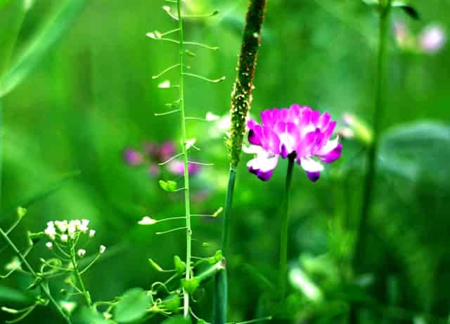 区块链defi 平台