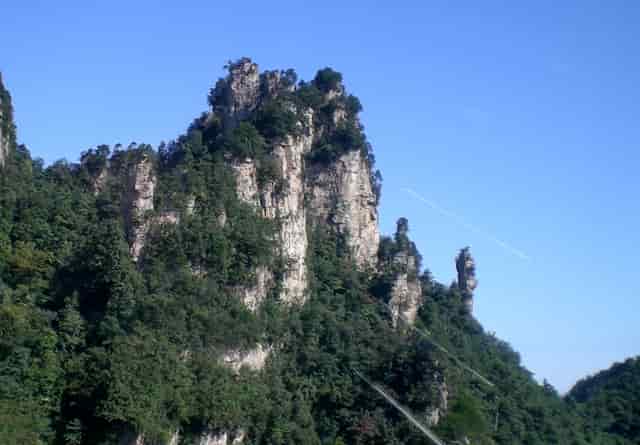 袖虎病狗攻略：哮喘的狗狗要小心