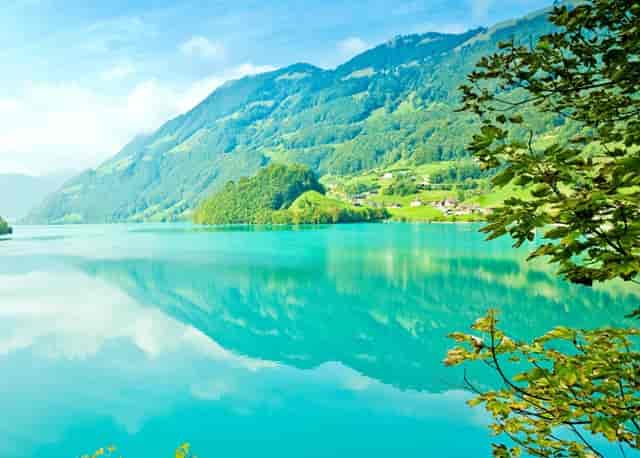 教育部校外培训机构的整治