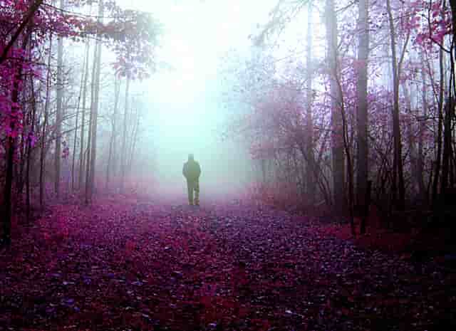 杏仁优护：患有老年人肝癌如何居家护理？