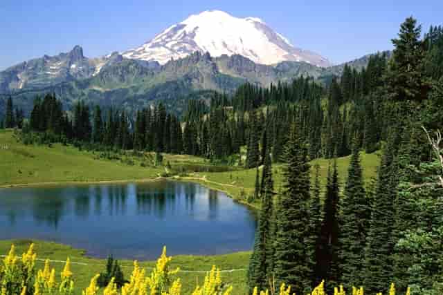 胎儿多少周长的快？这期间都需要注意些什么呢？