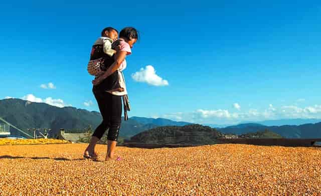 哪个省高考分数线最好