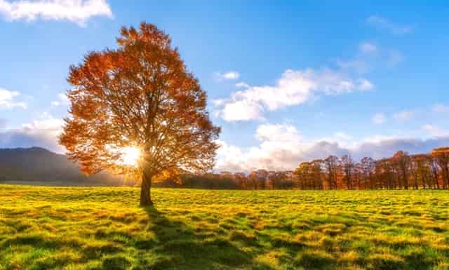 张钧甯看陈意涵