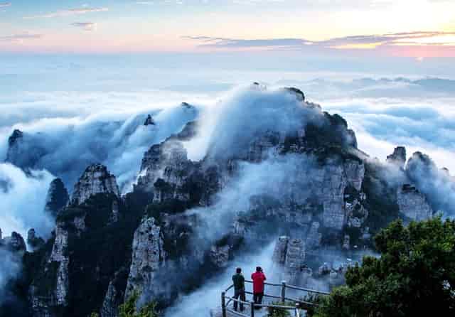 袖虎经验，让猫快速信任你！