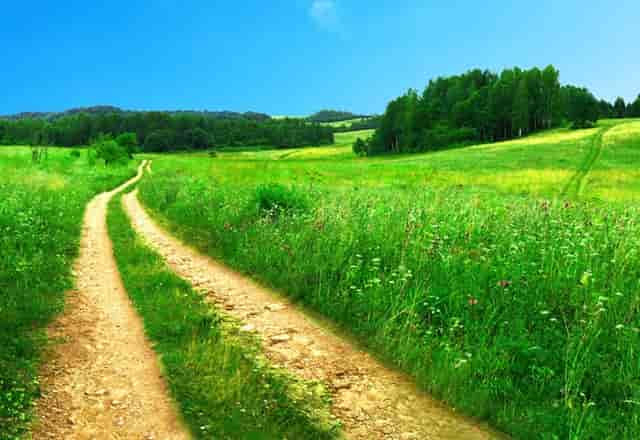 围裙才不是只能搭配女仆装，当它遇上洛丽塔后，精致仙美你想要的风格都有