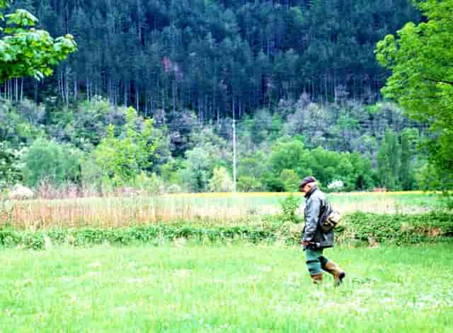 袖虎病猫攻略：关于猫咪眼泪这事你可能不知道