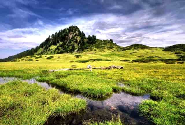 深圳市二实初中部怎么样