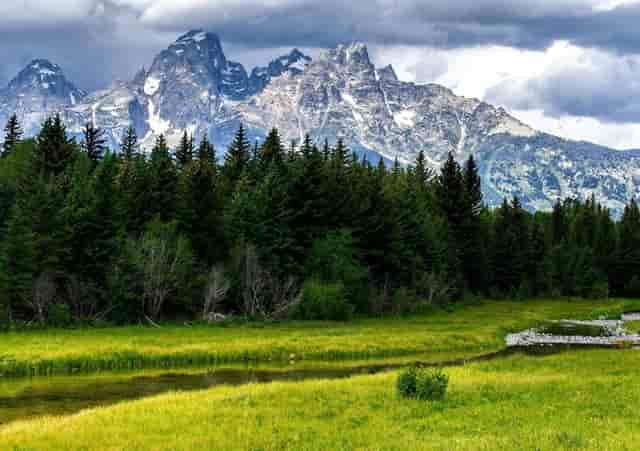 牙疼也是病，袖虎提醒这病会要命