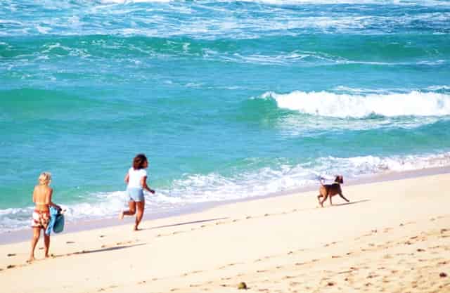 猫毛会被人类吸入肺部吗？袖虎告诉你靠谱！