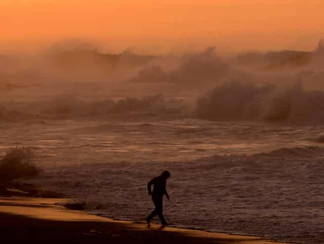 袖虎病猫攻略：猫咪口臭要注意