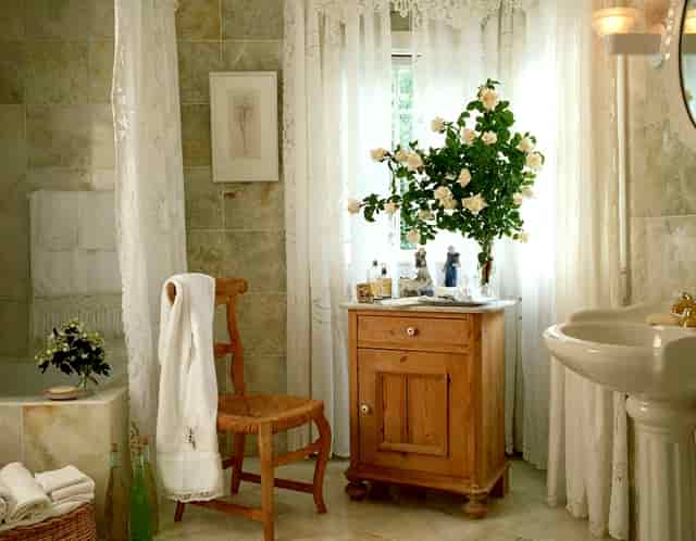 袖虎病猫攻略：猫咪便秘怎么办