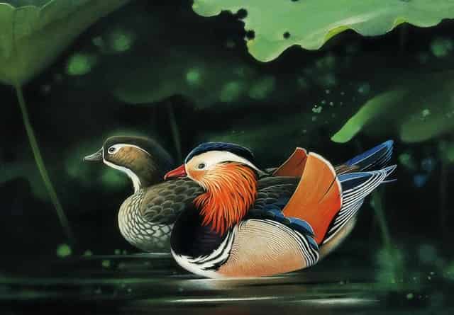 万国葡计——ZF实力演绎