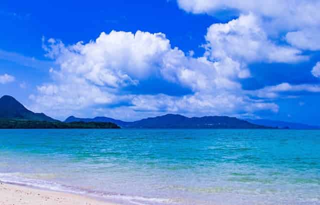 中科大学子失业