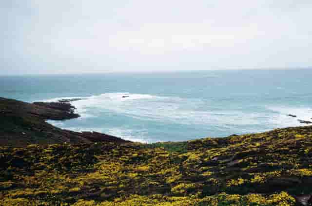 东京奥运会 赛程 金牌(2020东京奥运会中国金牌)