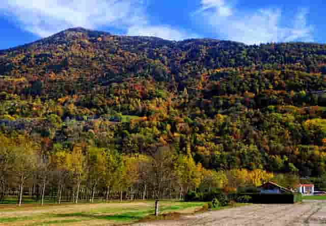 郑州抗灾视频(抗灾救援视频)