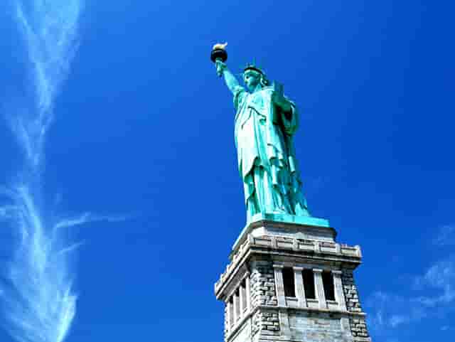 袖虎病狗攻略：狗狗掉毛多是有病的表现吗？