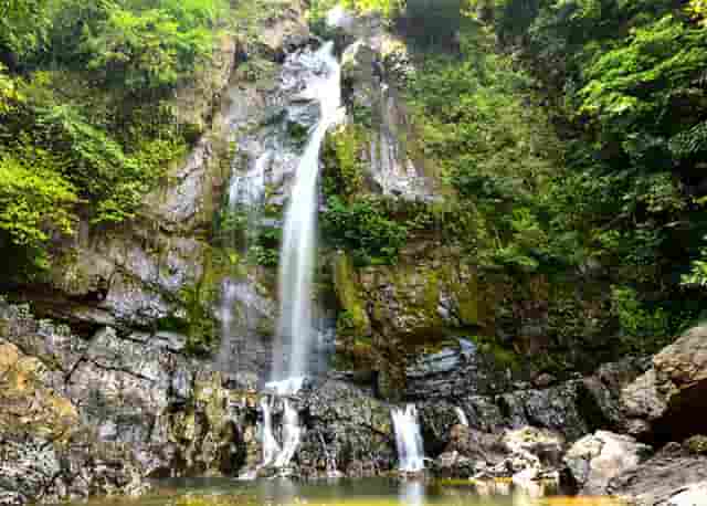 邵阳市委官网首页(邵阳市委老干部局官网)
