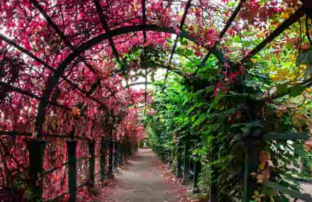 市电动车管理(濮阳市电动车管理)