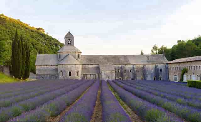 阿森纳英超比赛视频(阿森纳和埃弗顿英超今晚上比赛)