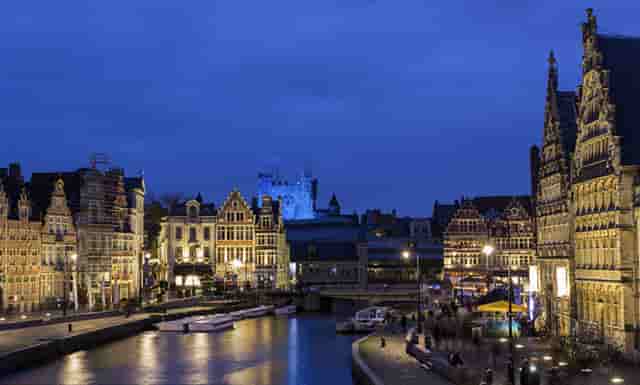 袖虎病狗攻略：鉴别病狗和健康狗的十二个方面，你知道几个？