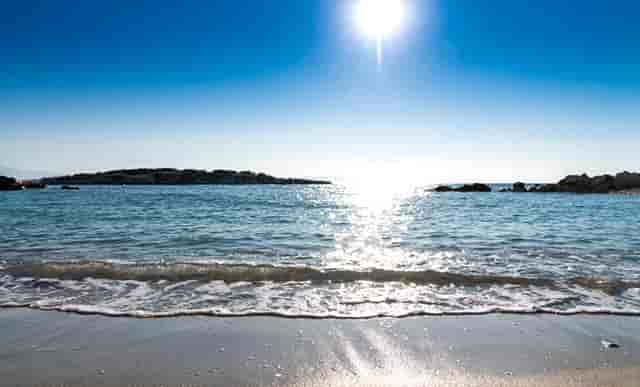 2021初级救命稻草电子版免费(2021初级会计救命稻草电子版)