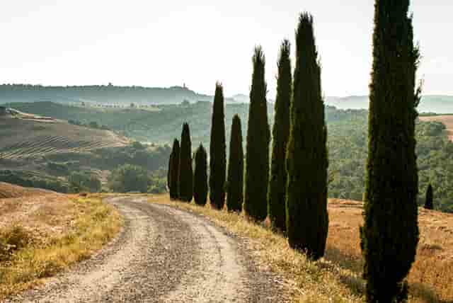 72年女鼠和78年马男婚姻