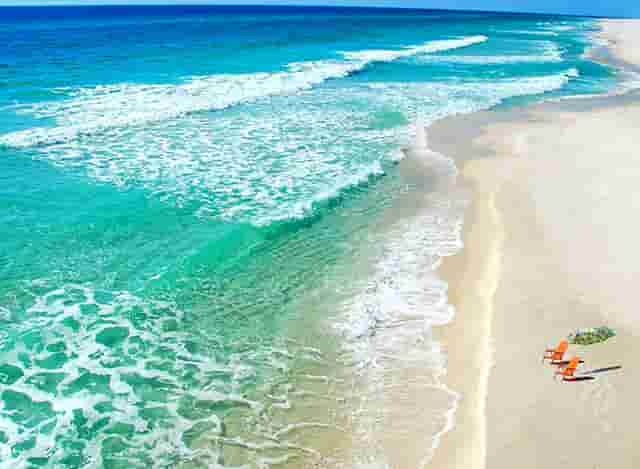 袖虎病猫攻略：猫总挠耳朵甩头，可能是这个东西作怪