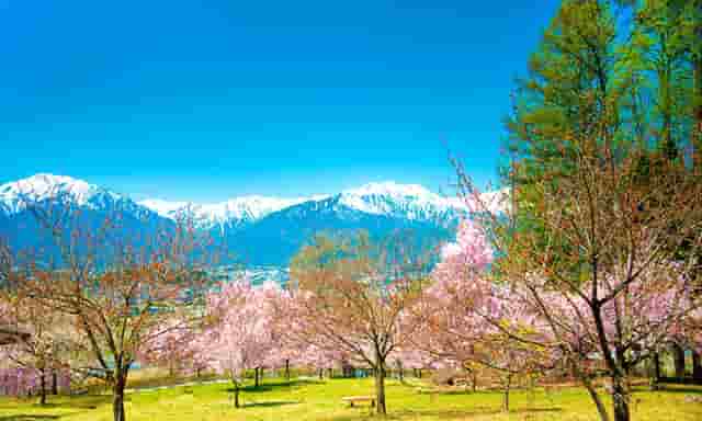 袖虎病猫攻略： 如何判断猫咪健不健康 宠物生活小百科