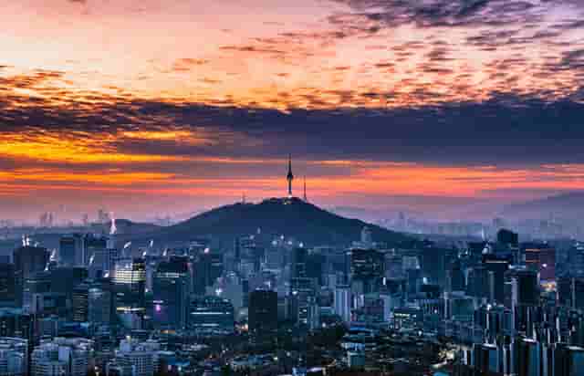 袖虎加盟故事：卖猫骗局