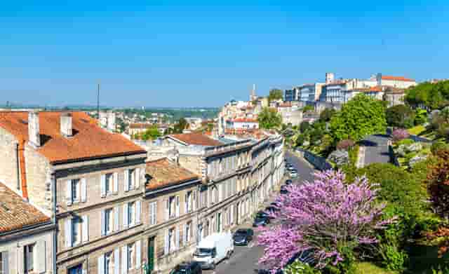 袖虎病猫攻略：猫咪眼睛明亮的奥秘