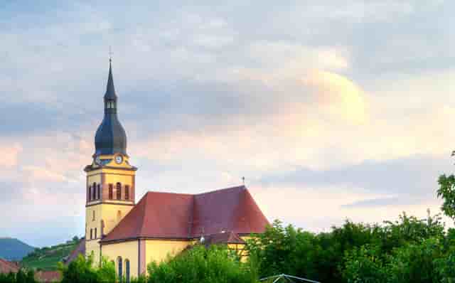 袖虎病猫攻略：怀孕养猫咪就一定会感染弓形虫吗？