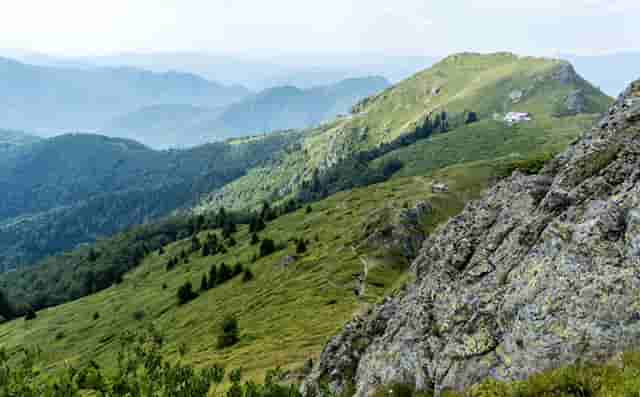 中国女排是中国第一个奥运冠军吗(中国女排获得第一个奥运冠军)