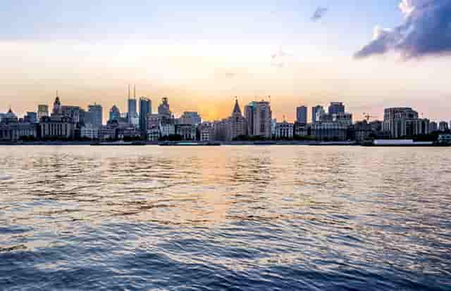 袖虎病猫攻略：猫咪体内寄生虫，养猫的你必须认得