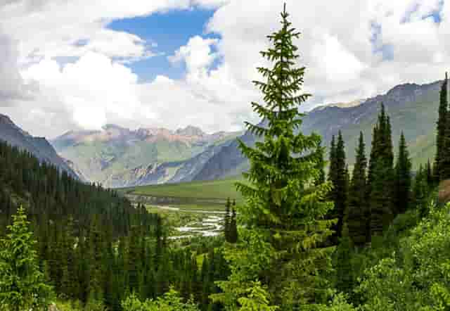 风格时尚感简单大气几种设计技巧