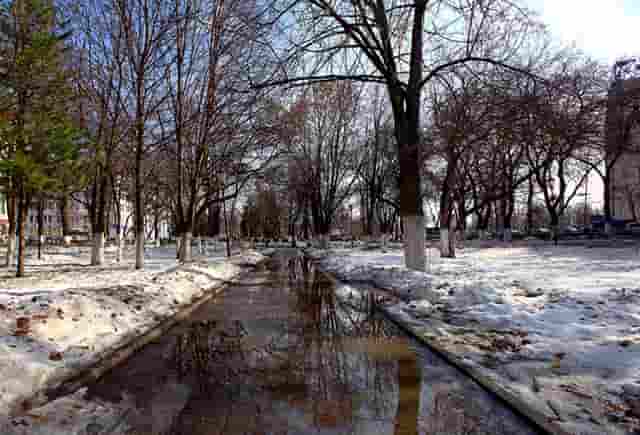 伊藤美诚东京奥运会四分之一决赛