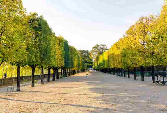 时尚网购小技巧(网购小技巧有哪些)