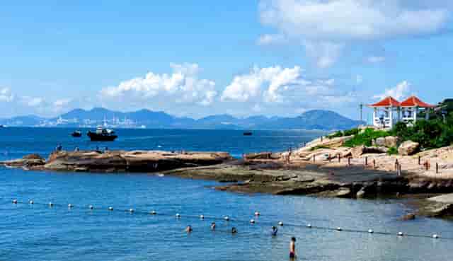 袖虎病猫攻略：小心换粮会软便！