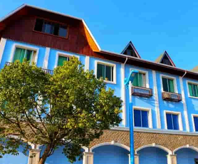 猫有问题找袖虎售后，避免踩坑哦